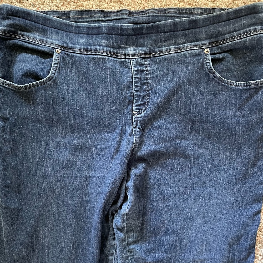 Woman’s Terra & sky elastic waist sz 2x jeans